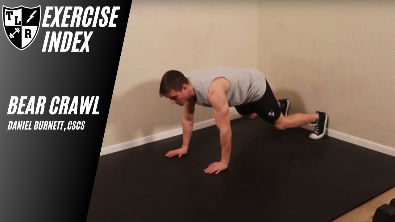 Exercise Index: Bear Crawl