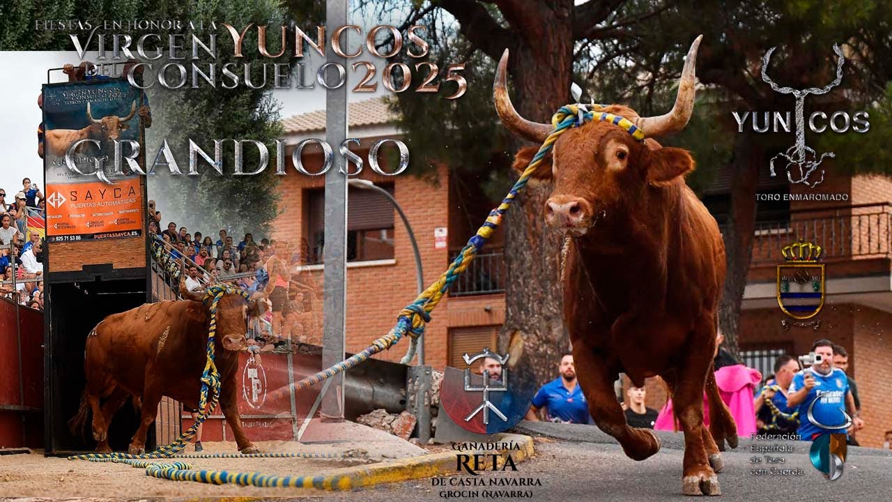 Grandioso Reta de Casta Navarra Toro Enmaromado de Yuncos