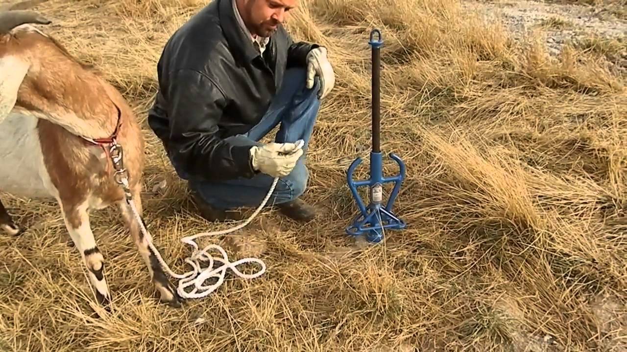 ALL-TIE Anchor Post for Goat - innovative animal tie out system - by Good N Useful