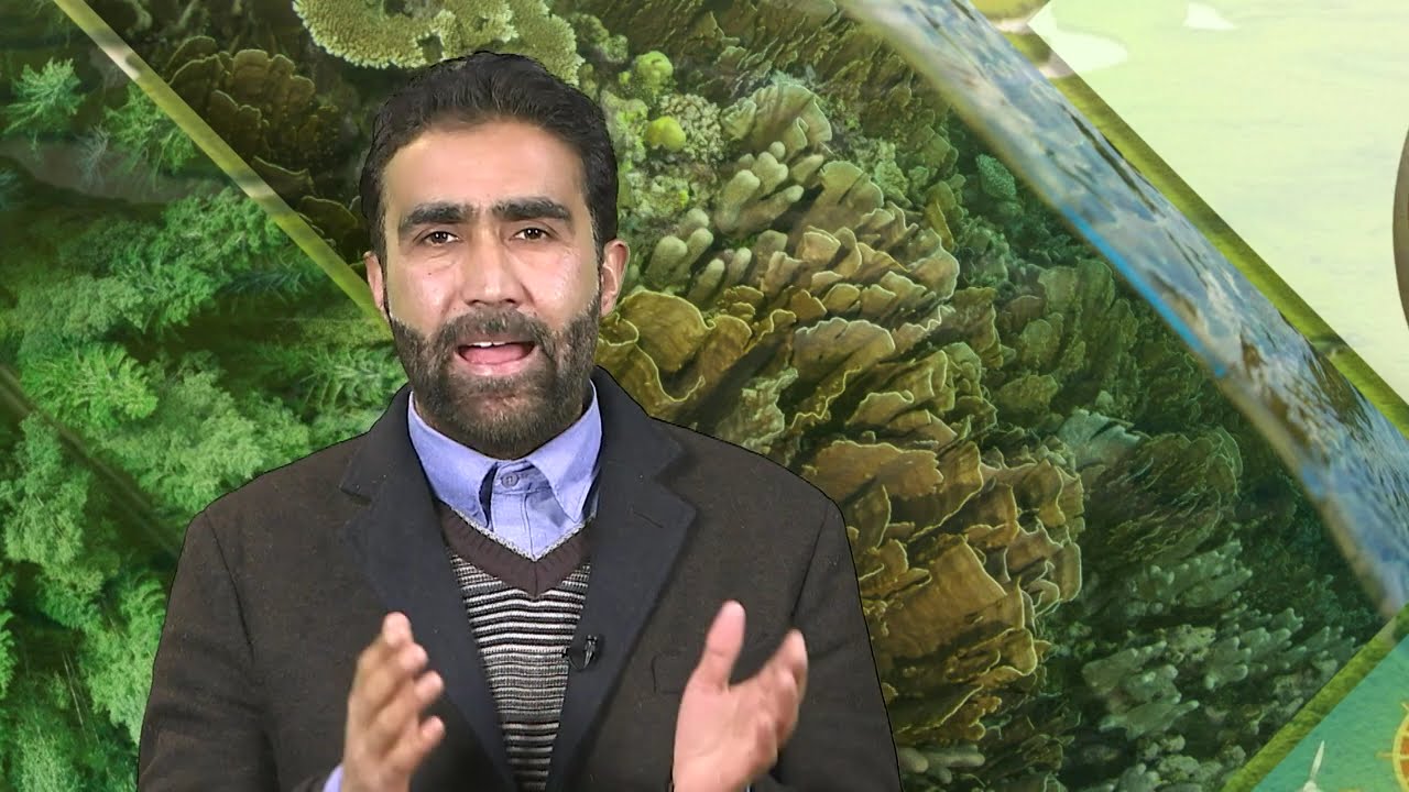 The ultimate causes of Biodiversity loss #swayamprabha