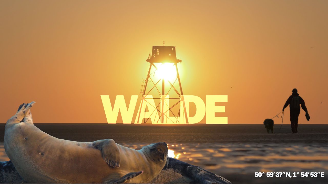 WALDE | SHORT FILM