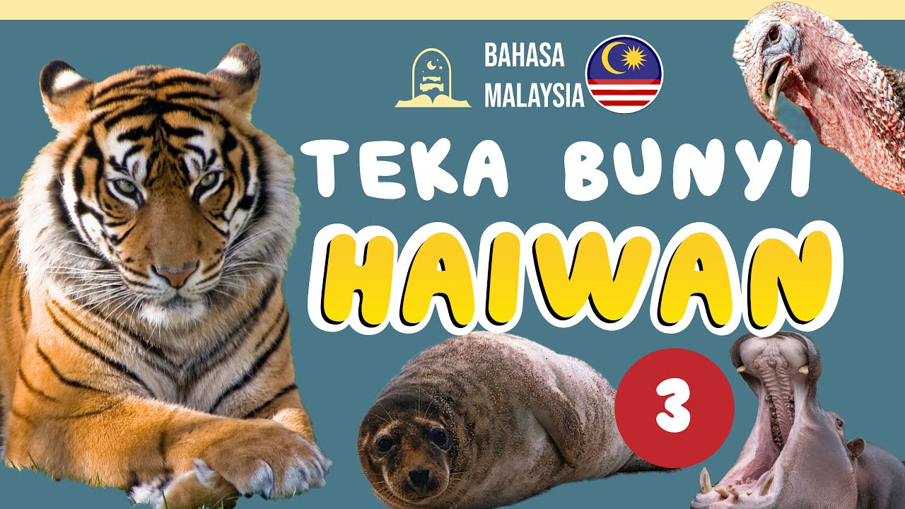 Teka Bunyi Haiwan 3 - Bahasa Melayu