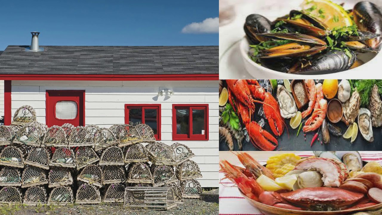 TASTE OF THE WORLD: Natural Wonders of Newfoundland Tour Webinar
