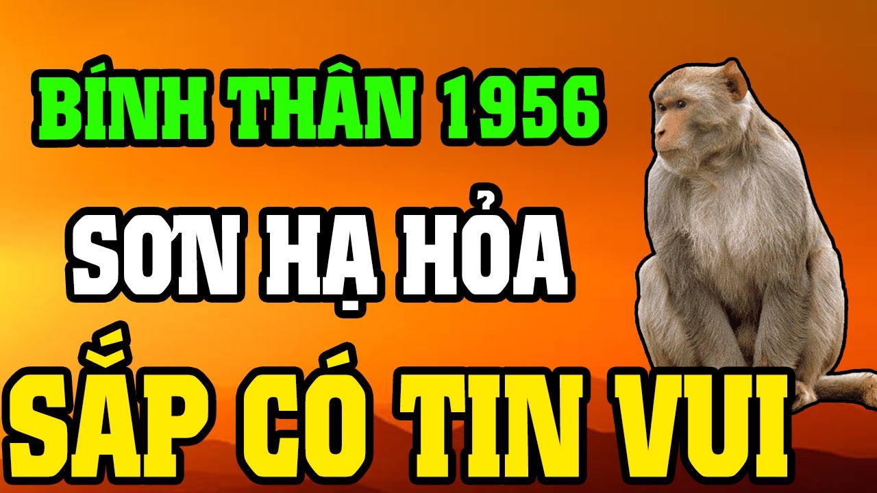 Tuổi Bính Thân 1956 Là Người Có Phúc Có Phần, Về Già Hưởng Lộc Tổ Tiên Nếu Biết Sớm 8 Điều Này