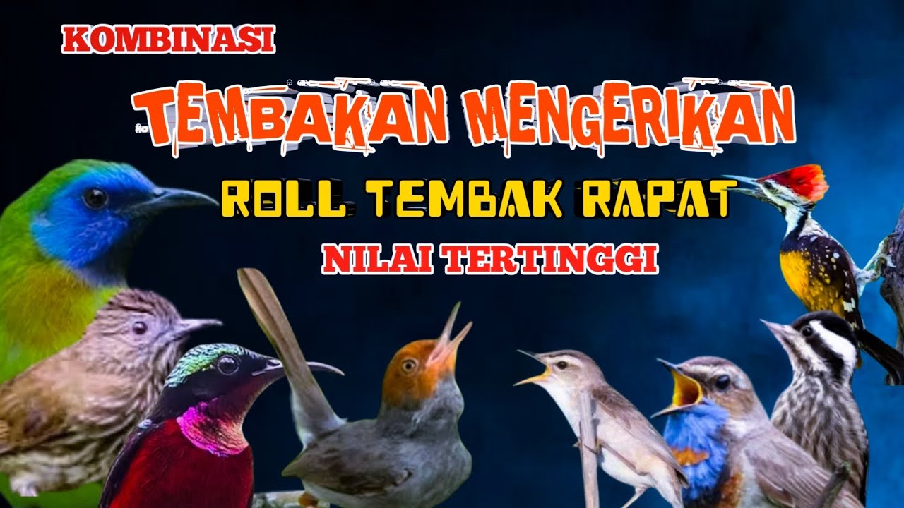 2 jam Kombinasi TEMBAKAN MENGERIKAN Roll tembak rapat NILAI TERTINGGI‼️