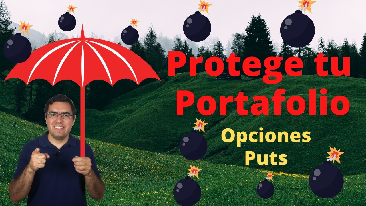 PROTEGE TU PORTAFOLIO - OPCIONES PUTS