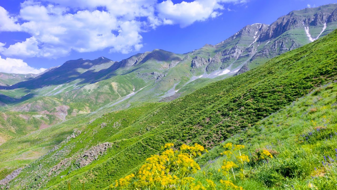 #Tanîn #honeh #qilaban #şirnex #xweza 25.05.2025 #tanin #uzungeçit #uludere #doğa #keşfet #nature
