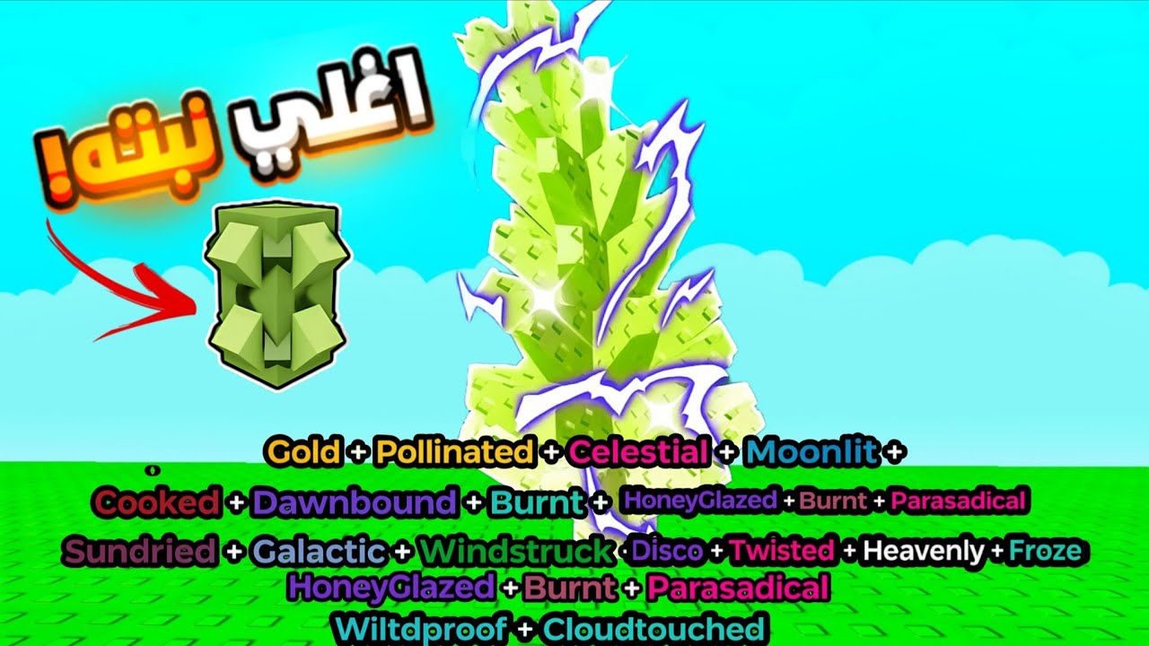 اشتريت اغلي نبته بالشوب وجبت اكبر حجم في تاريخ اللعبه وحطيت عليها كل التطويرات  grow a garden