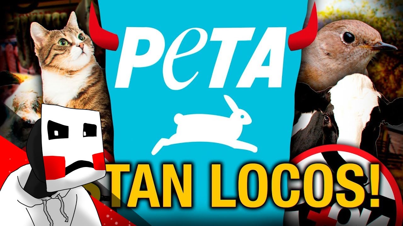 CakePlayer REACCIONA A TODAS LAS POLEMICAS Y ATROCIDADES COMETIDAS POR PETA