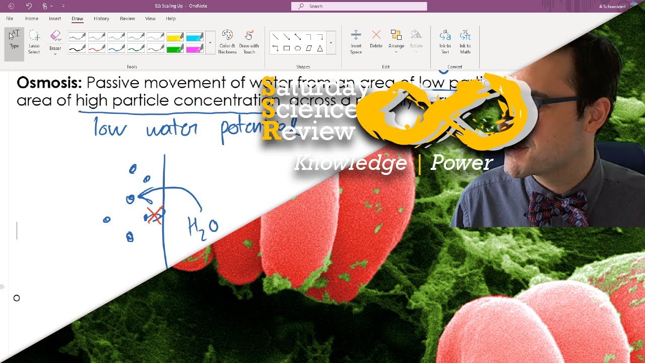 B2 -  Scalling Up (OCR Combined Science)