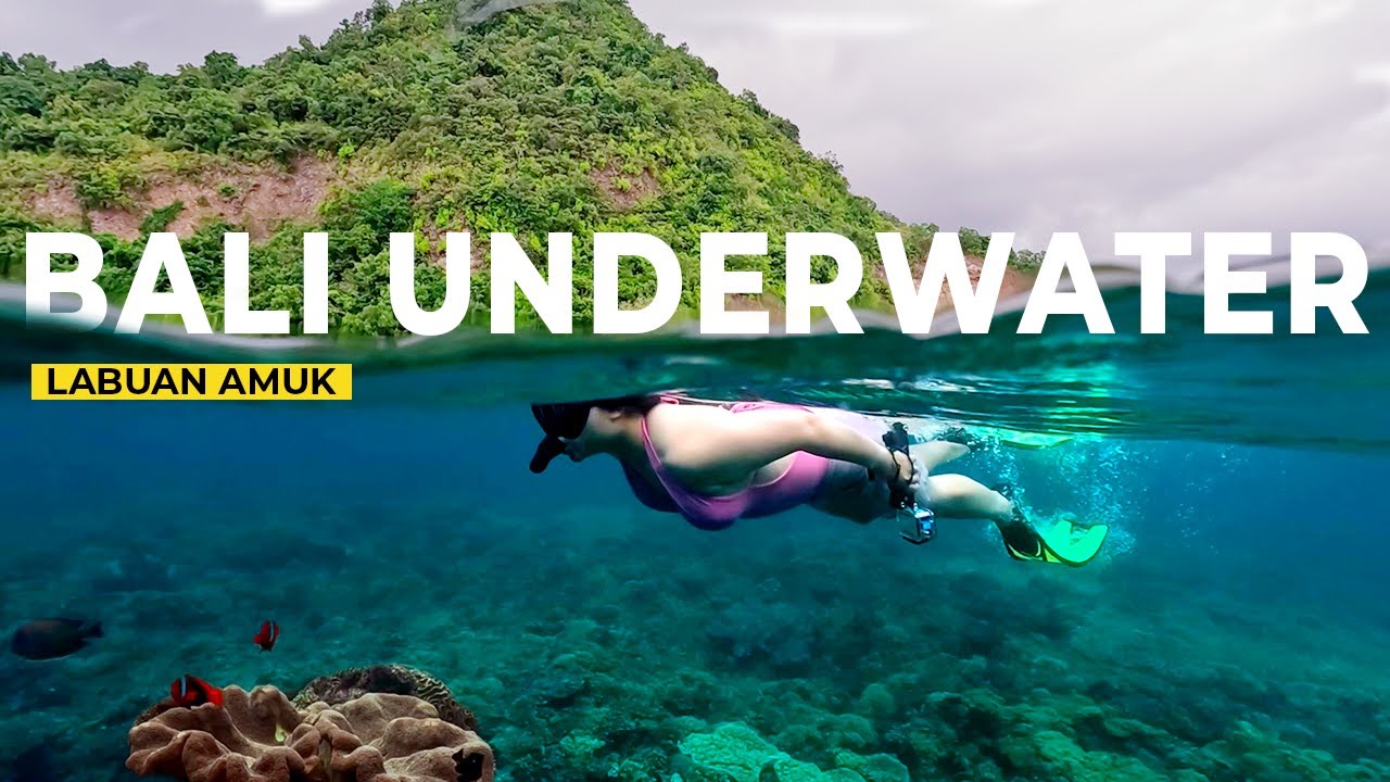 Bali's Top Marine Biologist Reveals BEST Snorkeling Secrets