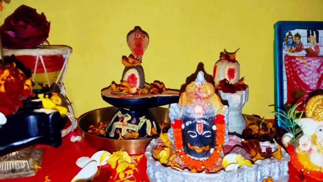 24 जनवरी माघ शनिवार षष्ठी तिथि। करें 5 विशेष उपाय होगी मनोकामना पूर्ण।#शनिवार#pradeepmishra#upay