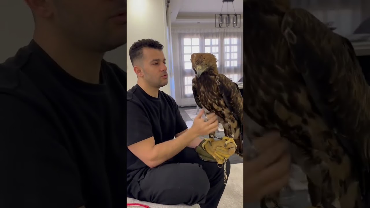 اول يوم ليا مع رحال عريس رهبة و ازاى هدربه 🦅