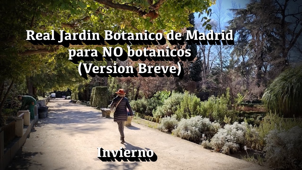 Real Jardín Botánico de Madrid para NO botánicos. Invierno. VERSIÓN BREVE.