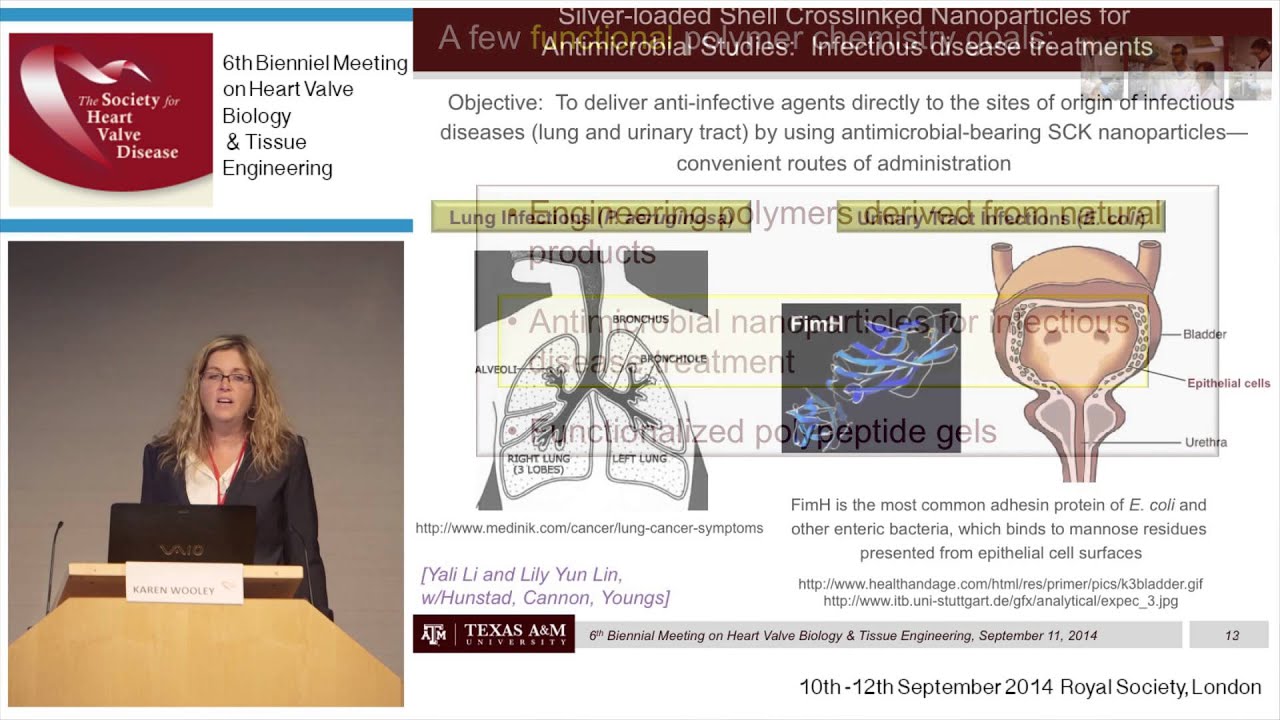 Karen Wooley - Stimuli-responsive, Polymer-based Technologies Derived from Natural Products