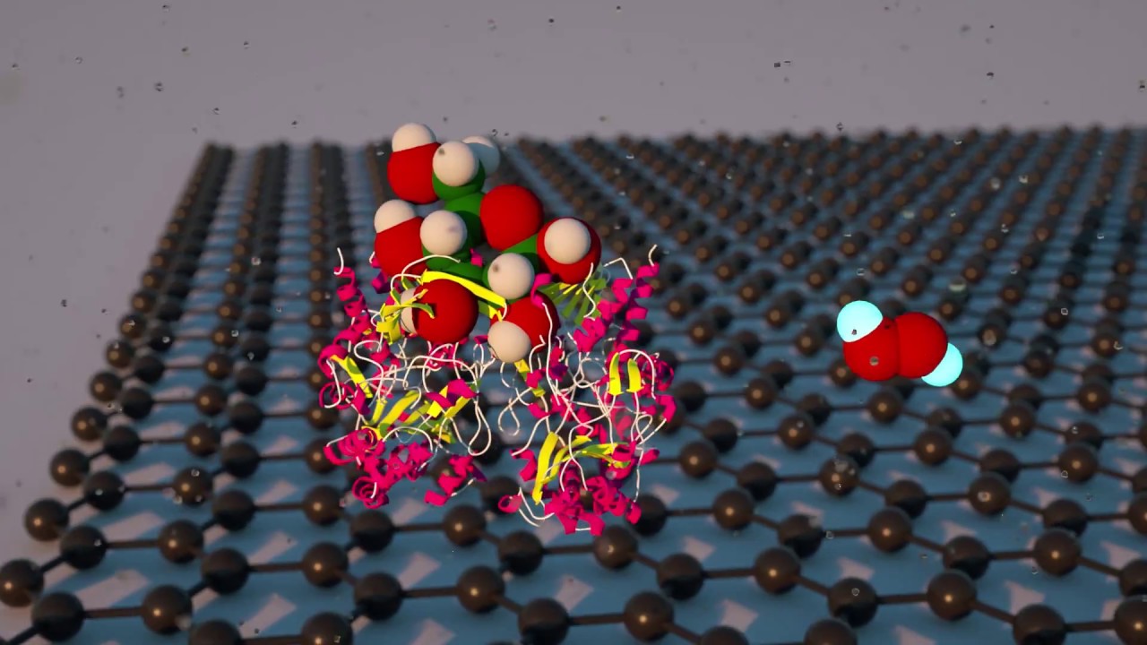 Wearable Fluid Capture Devices for Electrochemical Sensing of Sweat
