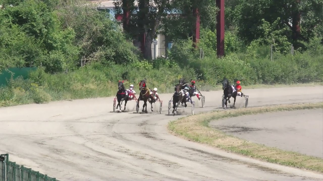 14.06.2025г Абаканский Ипподром Приз В честь Дня России лошади 5 лет и старше рысистой породы 2400м