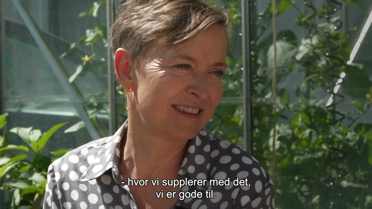 Incita