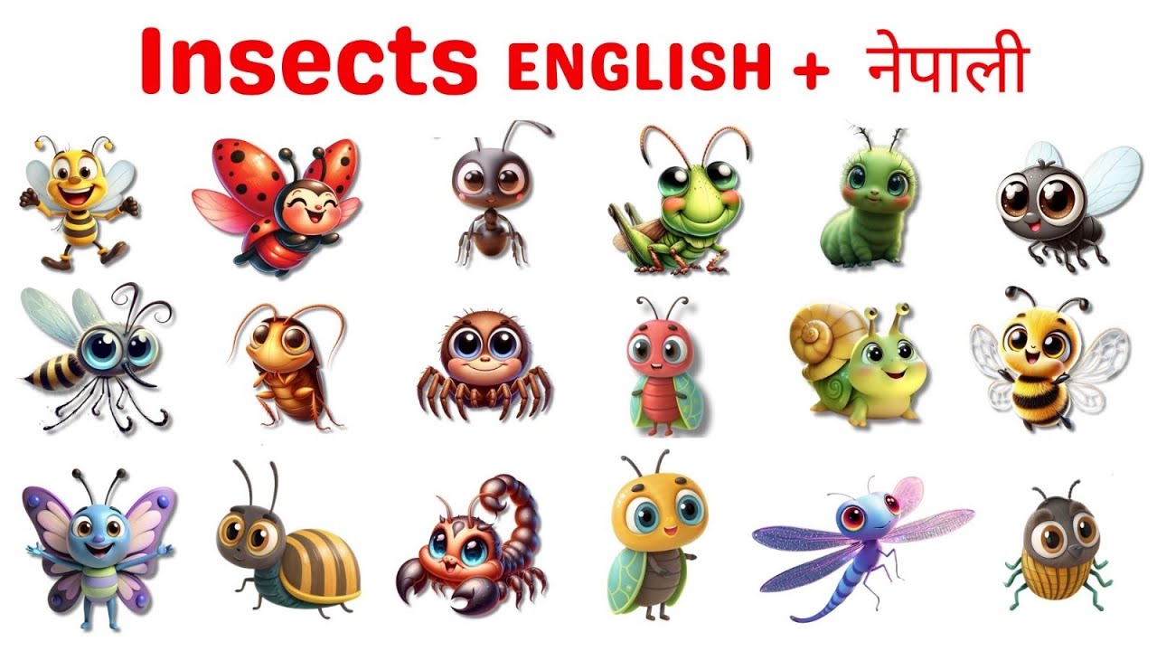 Insects Name in Nepali | Kids Learning Video | Insects for Children | नेपालीमा किरा नामहरू