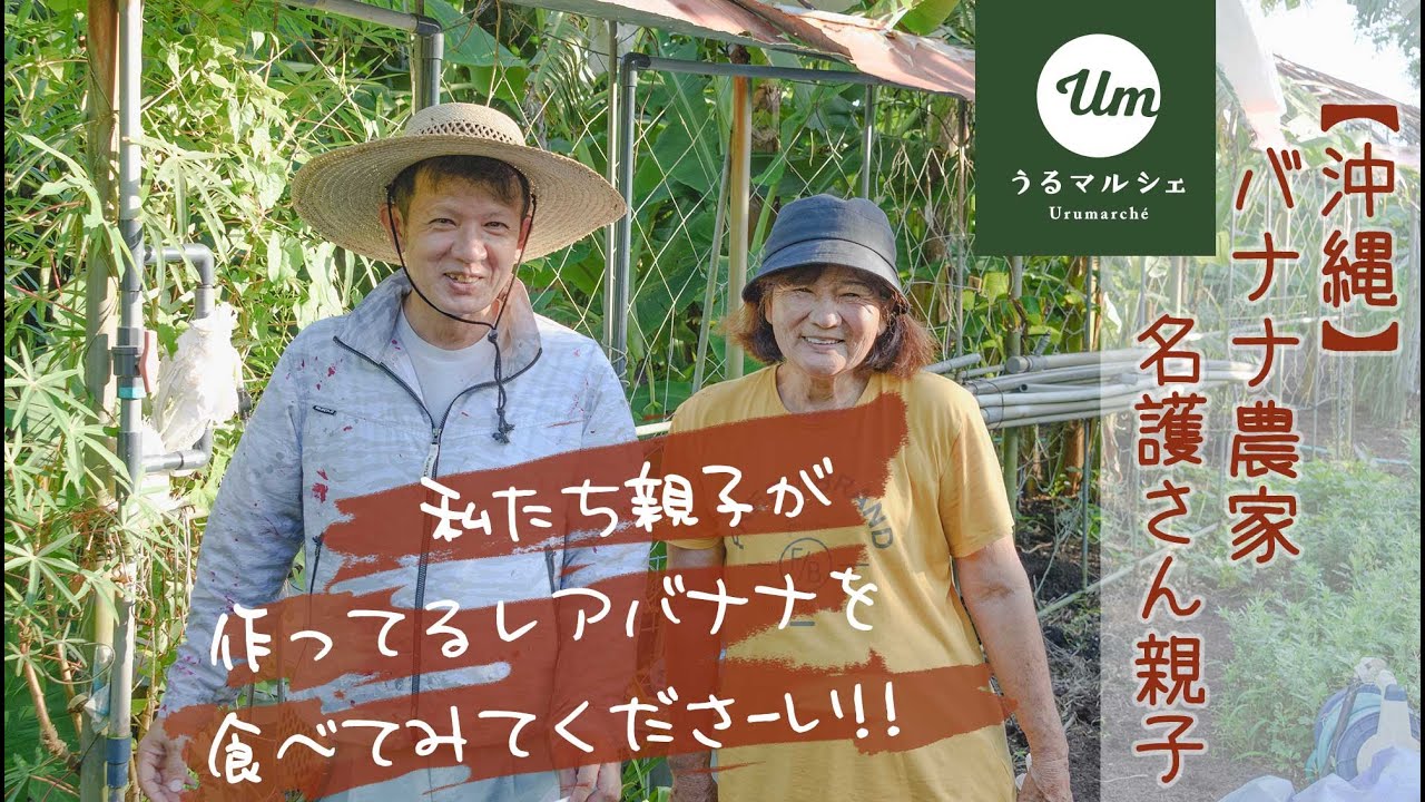 バナナ農家・名護百合子さん・宏光さん【うるマルシェの生産者さん】［沖縄｜うるま市］