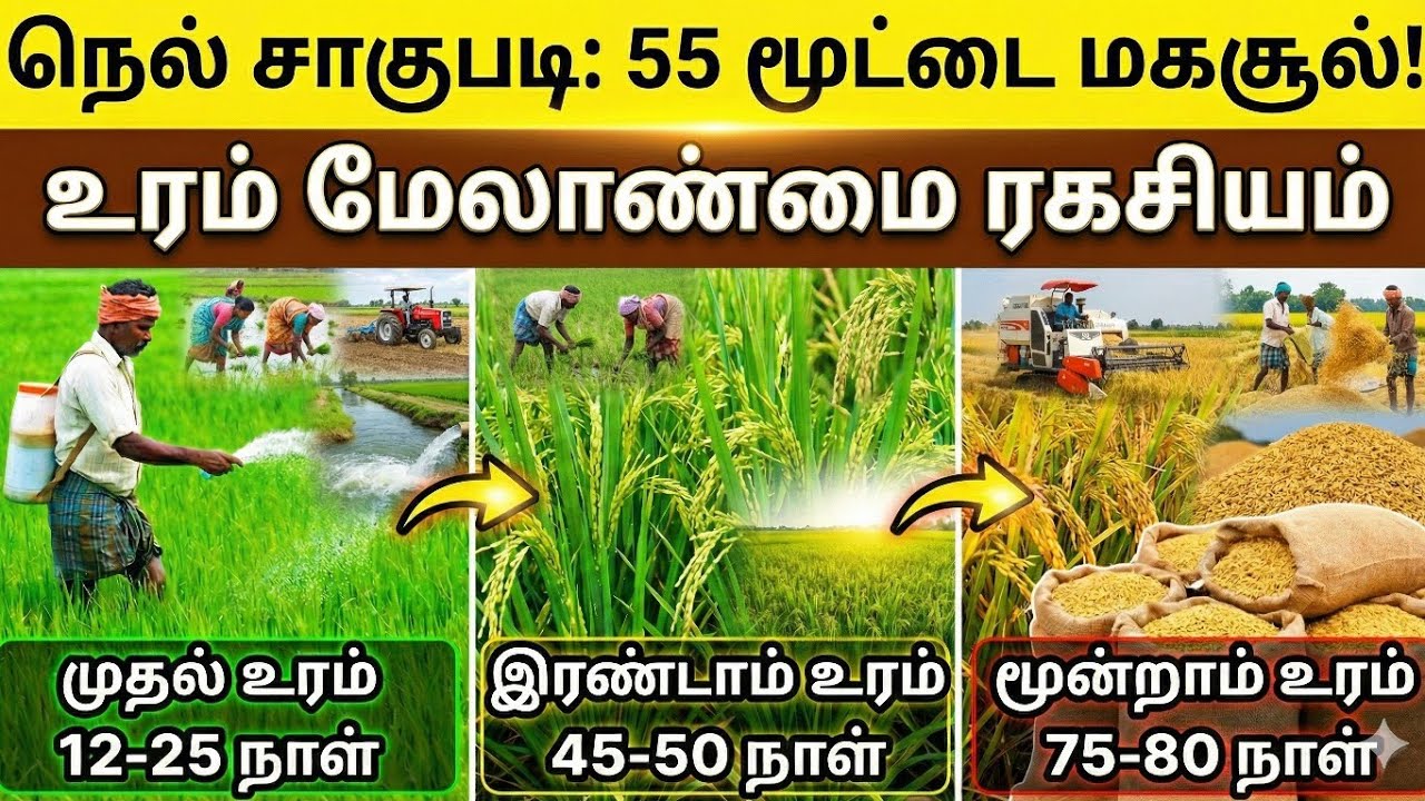 👳 Хотите получить урожай в 55 тюков? Не пропустите эту трехэтапную программу внесения удобрений |...