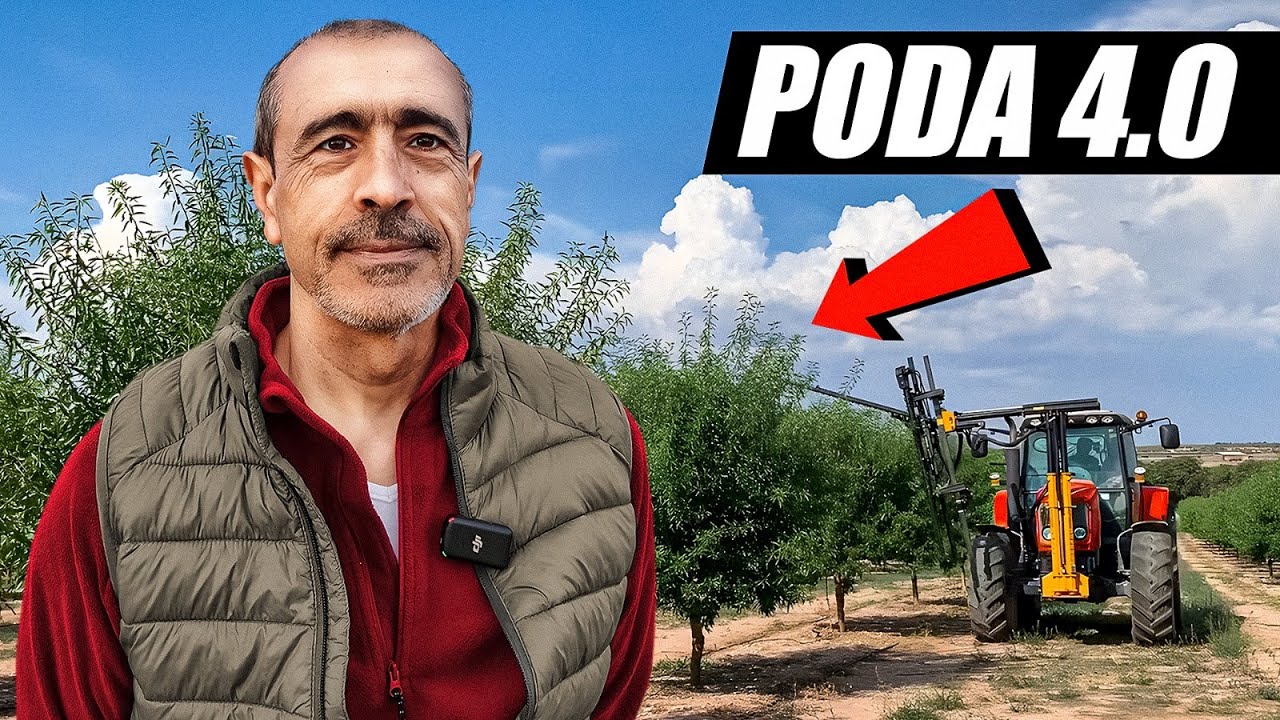 PODA Aragonesa de ALMENDROS ✂️ con Miguel Gorrea - [Cómo hacer la Poda 4.0 o Topping de Almendros]