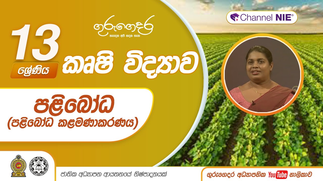 පළිබෝධ ( පළිබෝධ කළමණාකරණය ) P 01-A/L  Agriculture (කෘෂි විද්‍යාව) -13 ශ්‍රේණිය