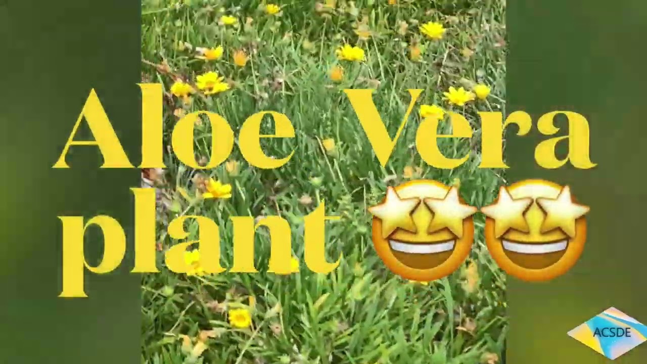 #aloevera