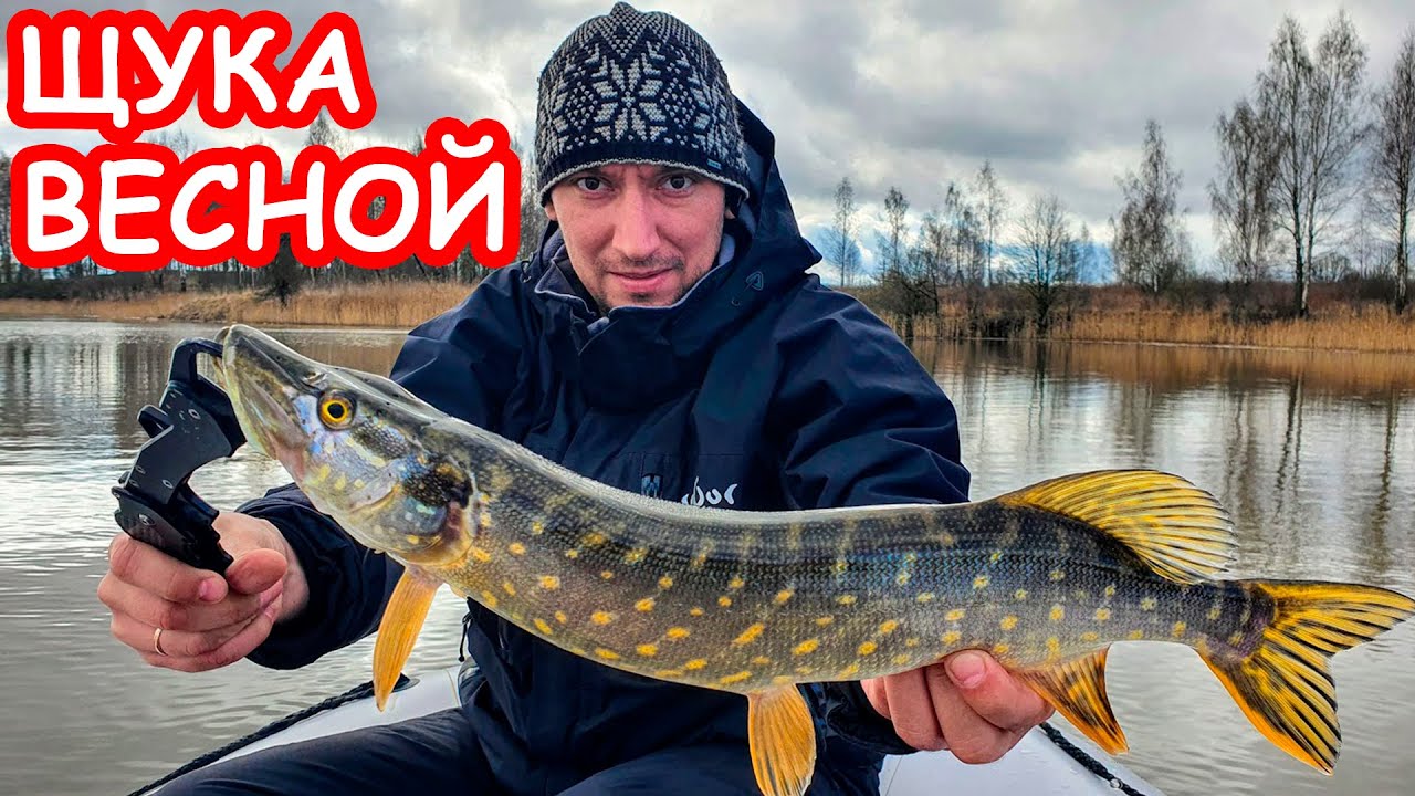 НА ЧТО ЛОВИТЬ ЩУКУ ВЕСНОЙ. РЫБАЛКА НА ЩУКУ. ЛОВЛЯ ЩУКИ НА СПИННИНГ