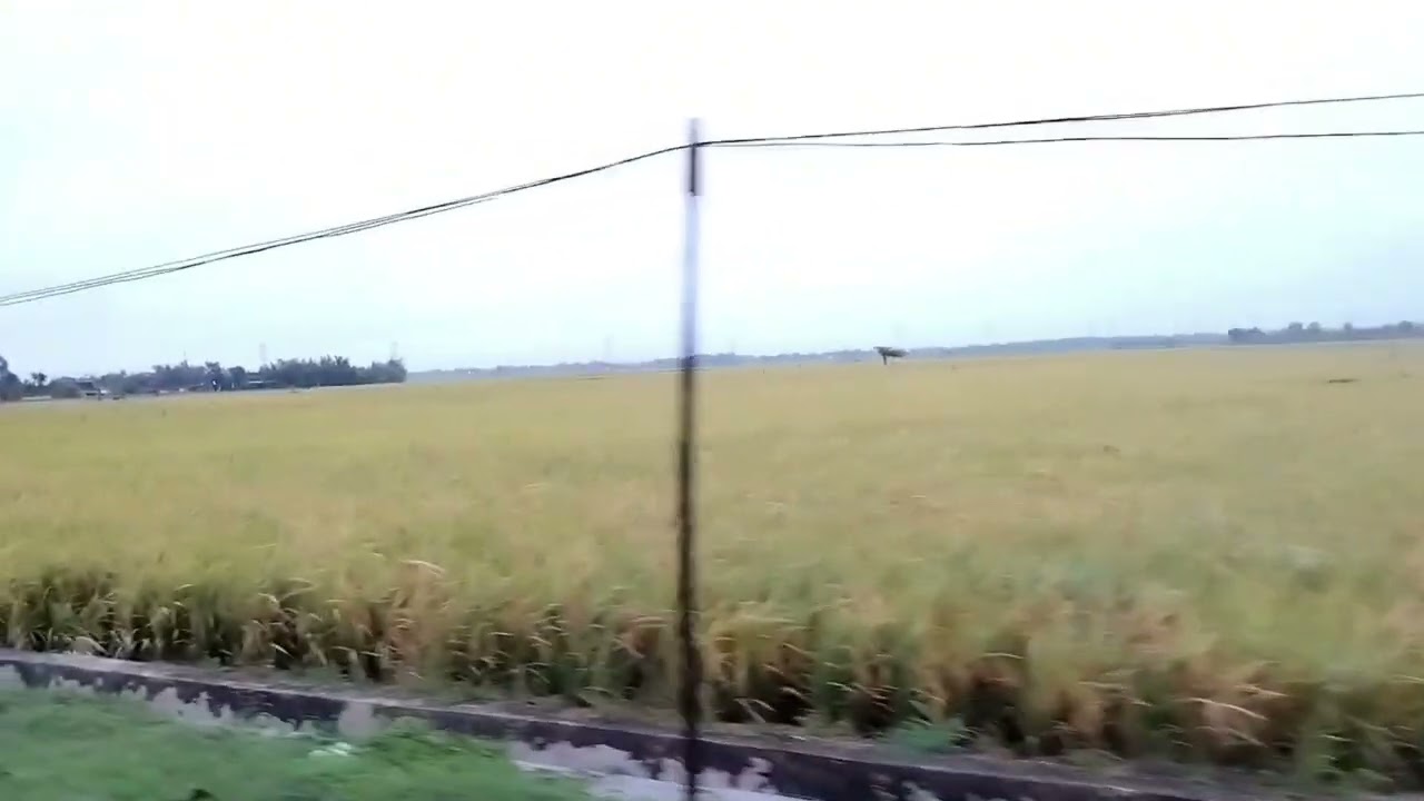 vlog during light rain 