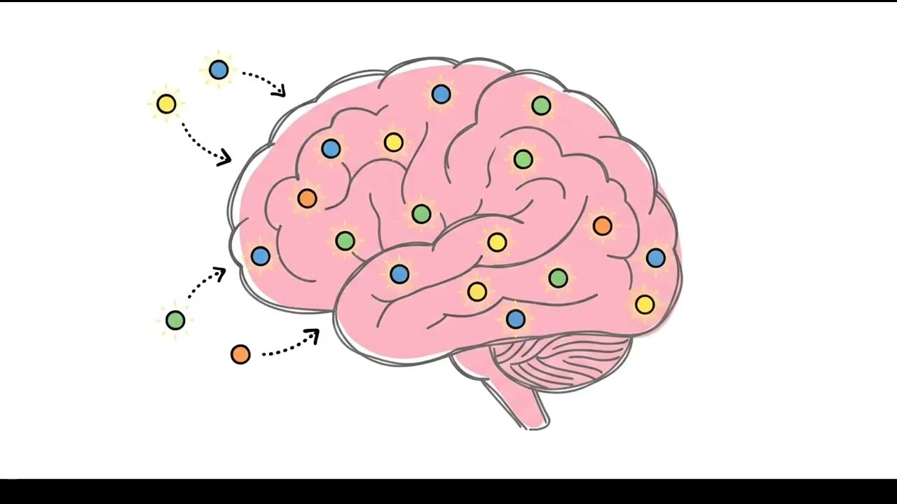 Why Don't We Remember Being Babies? The Science of Infantile Amnesia