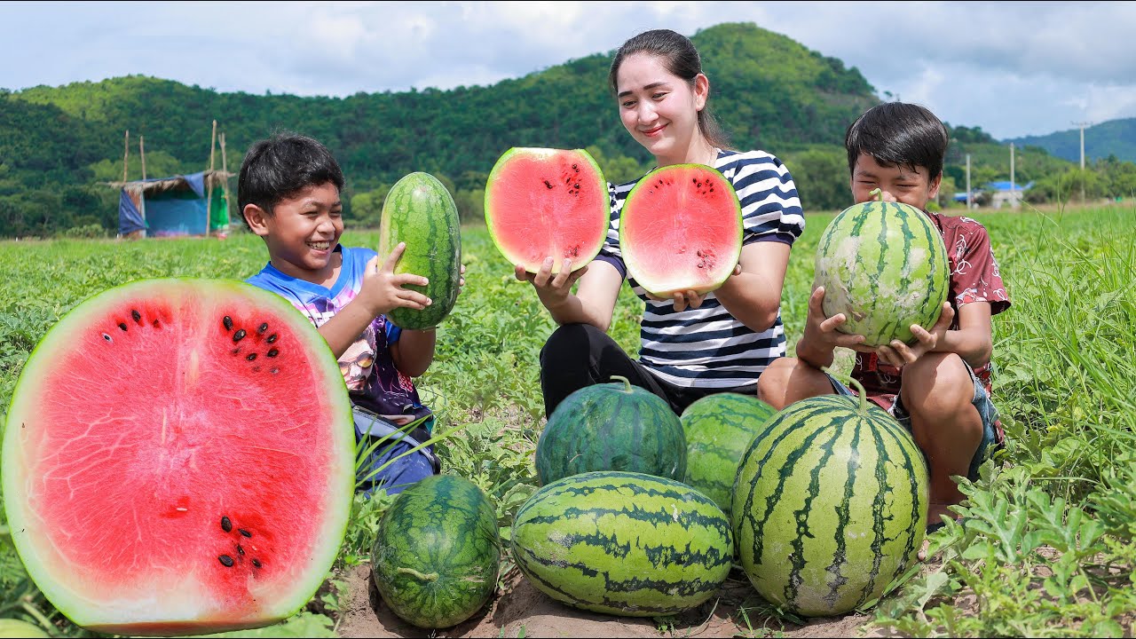 How to eat fresh water melon from the farm | Fresh water melon ice cream | Water melon ice cream
