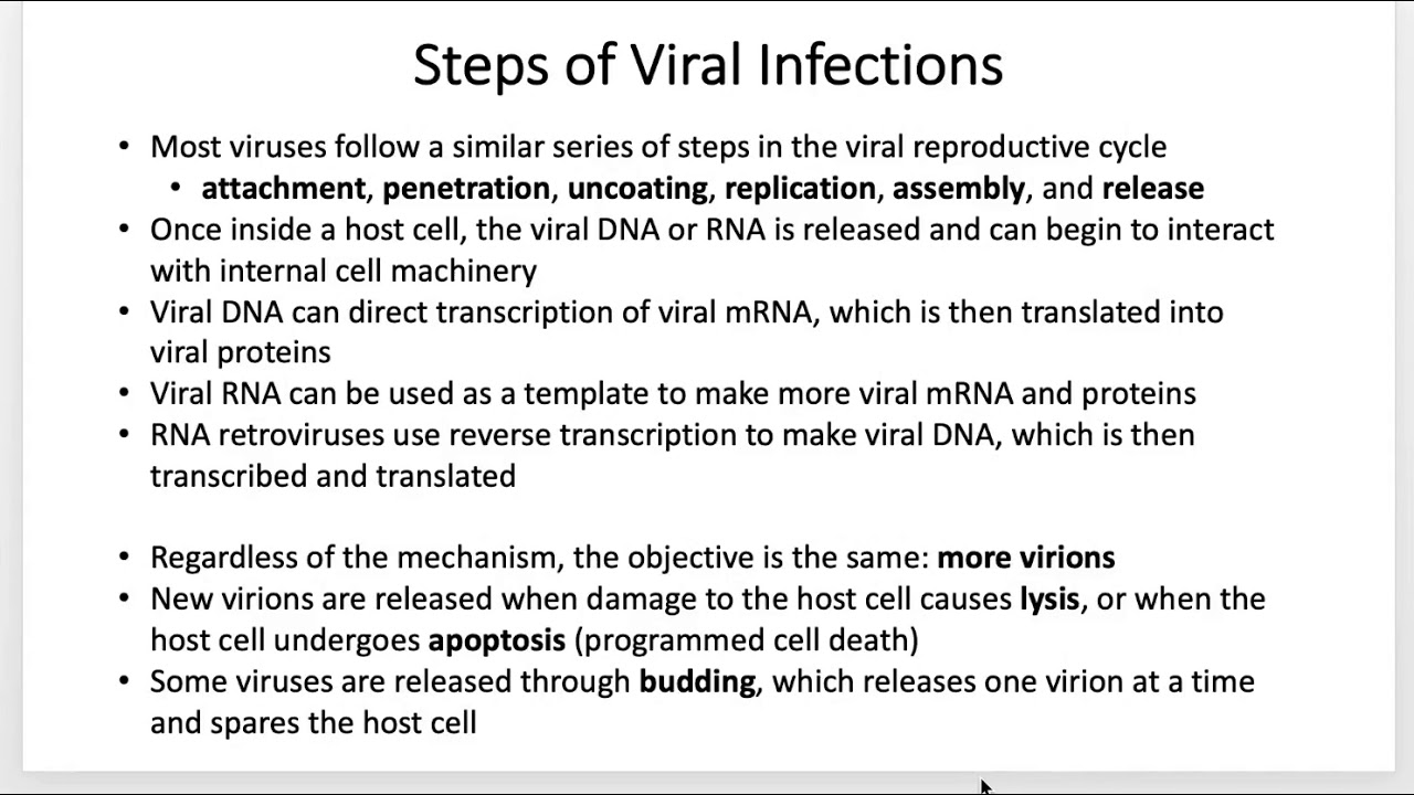 Steps of Viral Infection