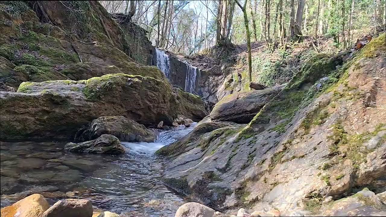 5 minuti di... Cascata e fiume che scorre | Nature sounds – Flowing water