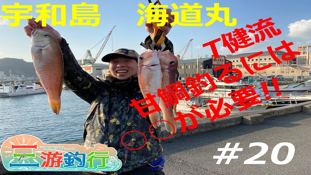 Vol20(一つテンヤ) 宇和島 海道丸で一つテンヤで甘鯛を狙う!!更にT健の誕生日釣行　三游釣行