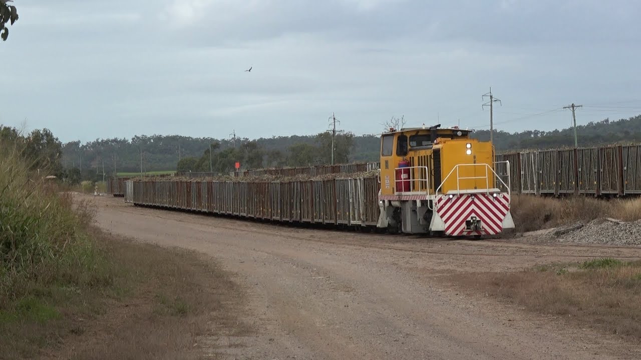 Queensland Sugar Cane Railways, Plane Creek Sarina