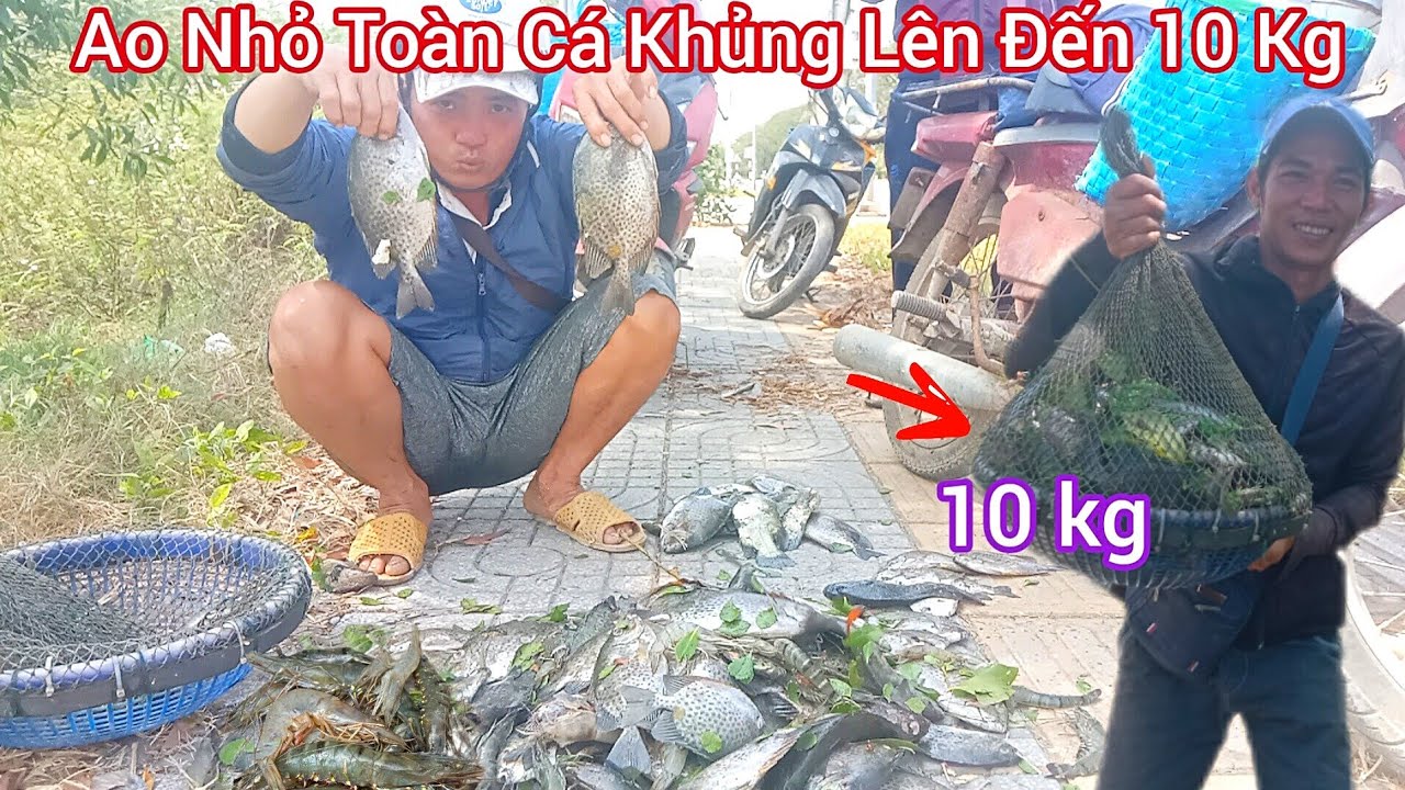 Trúng Đậm Bày Cá Dìa Ở Đầm Toàn Hàng Khủng.  2 M Lên Đến 10 Kg..ba hưng csb