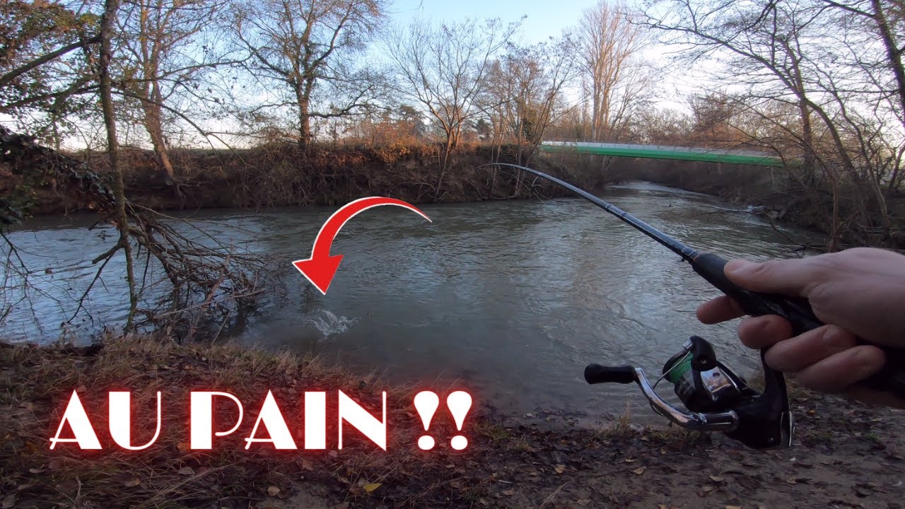 Un POISSON INATTENDU au PAIN  et TUTO PECHE au PAIN en HIVER.