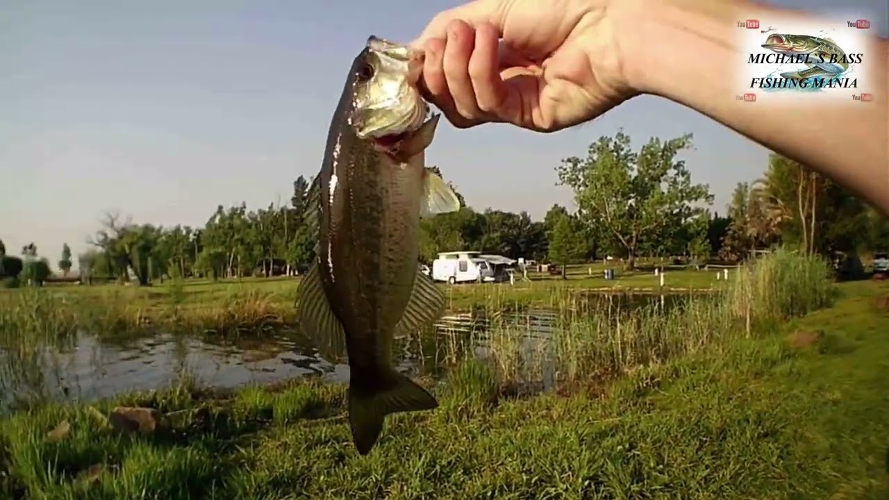 Chapter 2 of our Boskop Dam Journey for Big Bass