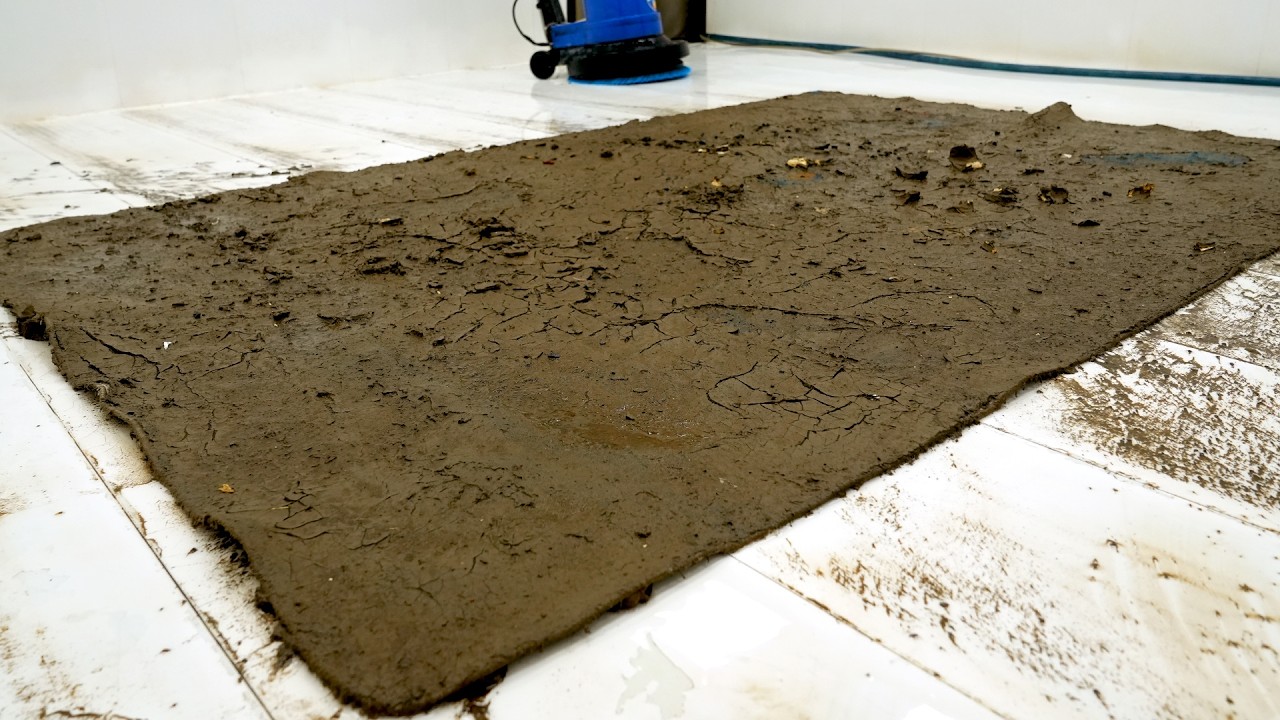 We Didn’t Expect a Carpet to Harden This Much… ASMR Cleaning Video, Satisfying Video