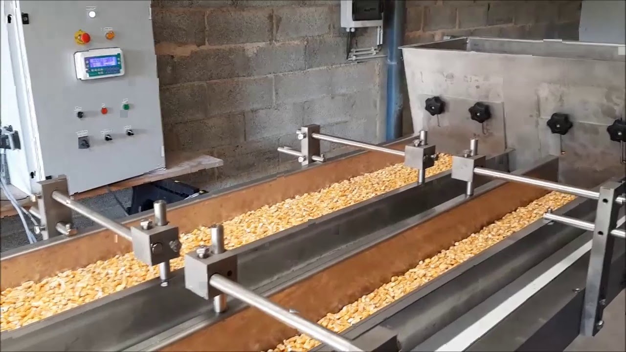 Peseuse lin&eacute;aire automatique PL10, LCO Packaging solutions
