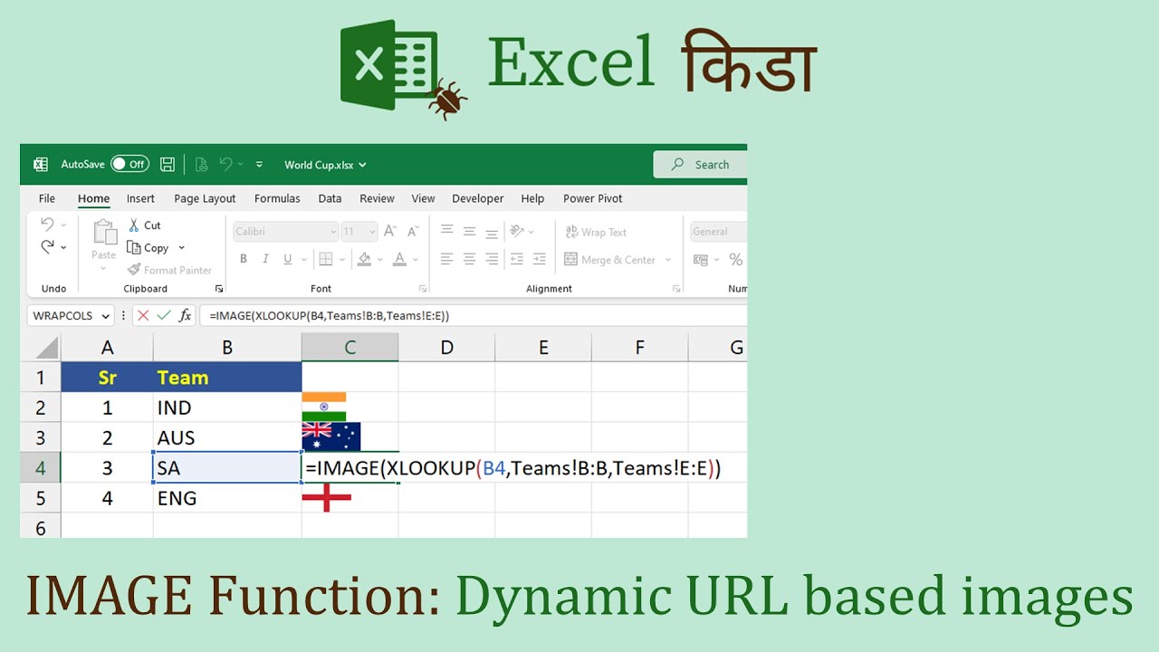 IMAGE Function - Embedding Dynamic URL based images inside cell in Excel