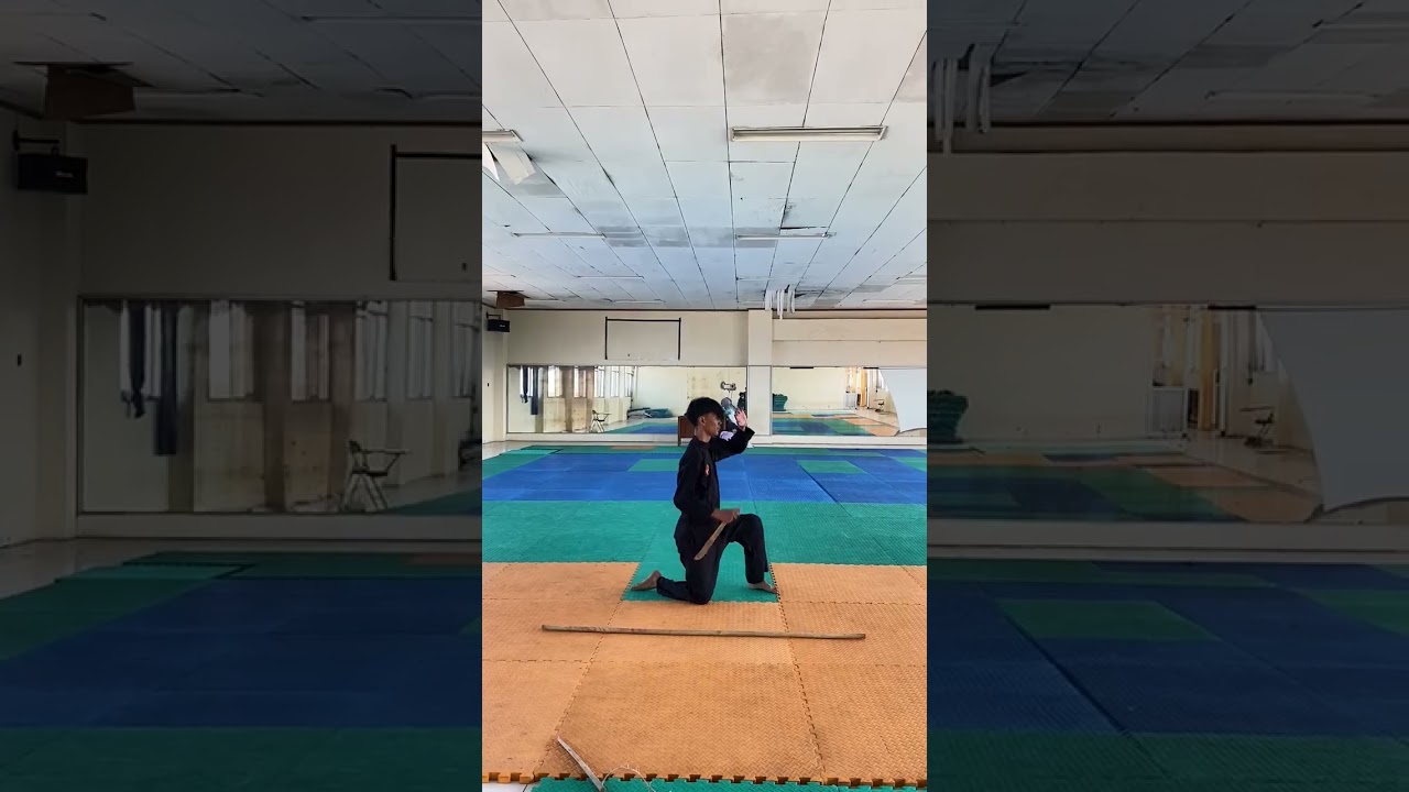 PERBAIKAN NILAI SILAT NAMA : MUHAMMAD FAUZAN PUTRA ARYA NIM :24087349
