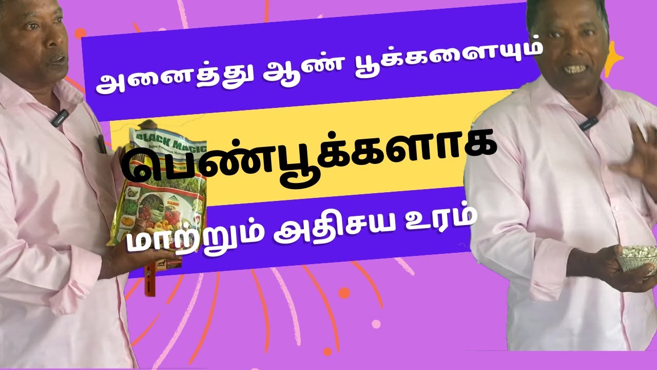 அனைத்து ஆண் பூக்களையும் பெண்பூக்களாக மாற்றும் அதிசய உரம் /Male flowers converted female flowers