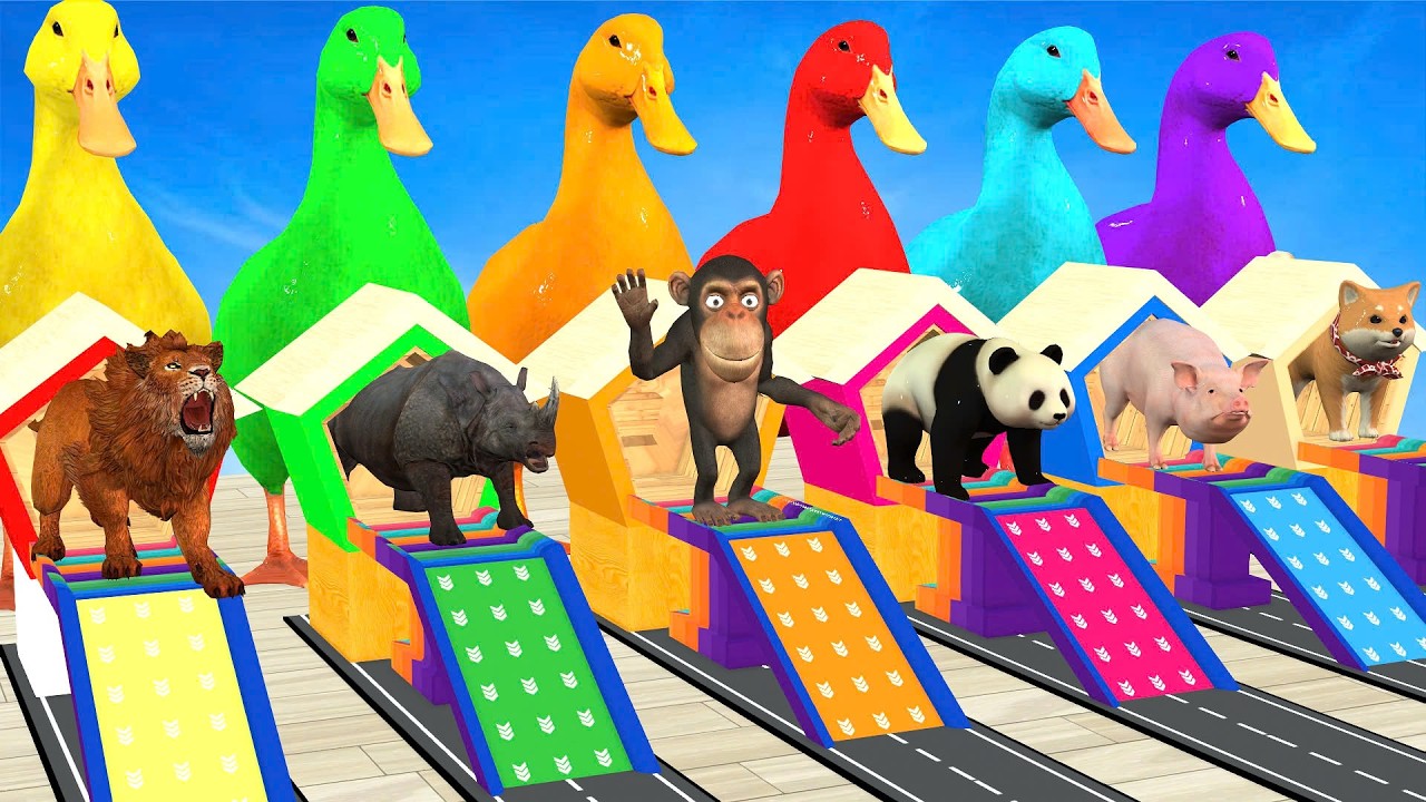 Long Slide Game With Elephant Tiger Zebra Cow Lion Bull 3D Animal Game Funny 3D Animals