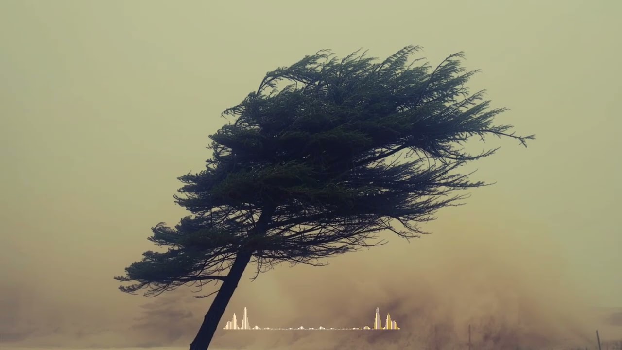 Күрөшөм [Official Audio] feat. NURIK, Aiba prod. by BVRKUT