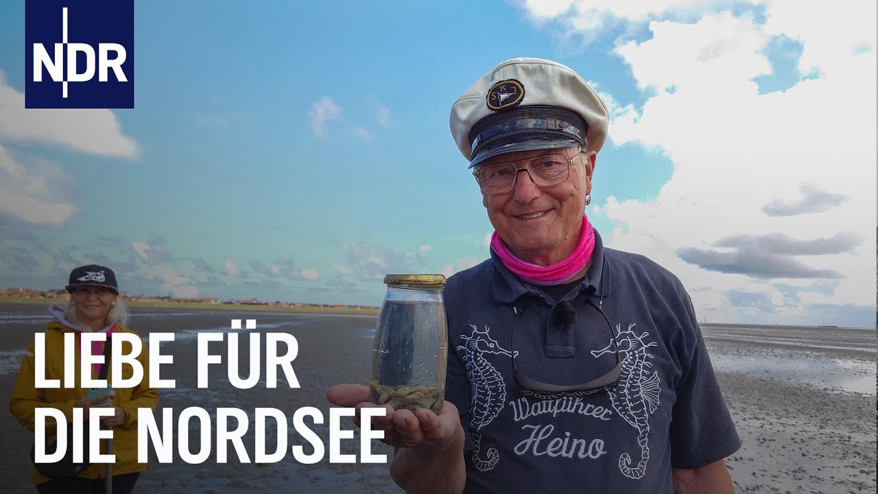 Nordseeliebe XXL – Wiedersehen mit Seebären und Küsten-Fans | Nordseereport | NDR Doku