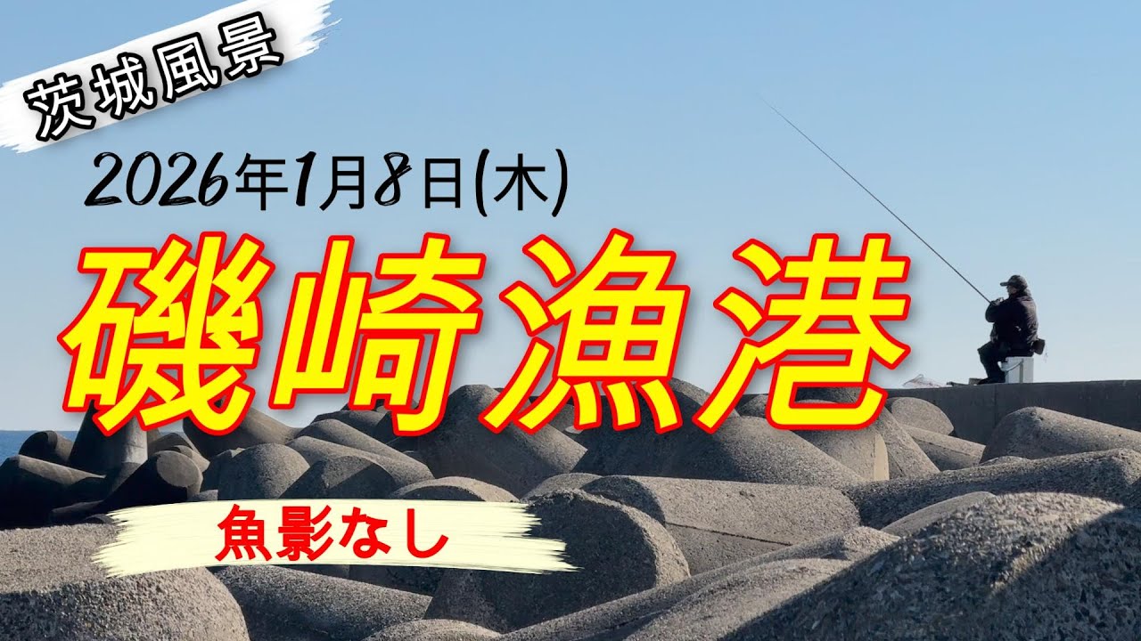 磯崎漁港は魚影なし[2026年1月8日]