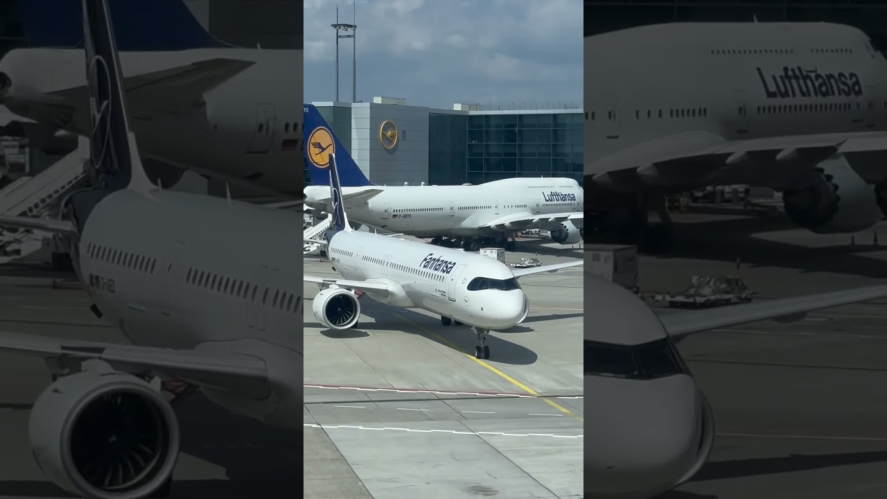 Lufthansa Fanhansa A321 Pulling into the gate from Budapest At Frankfurt #plane #lufthansa
