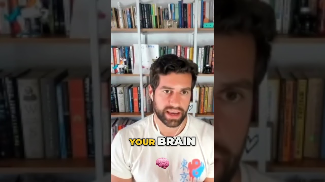 The Science Behind Habit Formation: Why Our Brain Loves Predictable Patterns